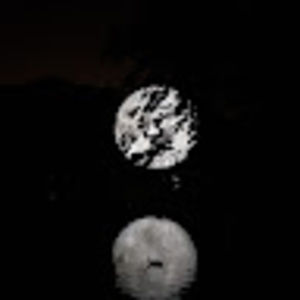 Meet your Posher, Alvin